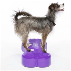 FitPaws K9 Fitbone Balance Træning Til Hund Purple